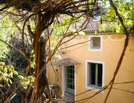 Couette-café Le Petit Siam : Le Calme En Centre Clermont-Ferrand
